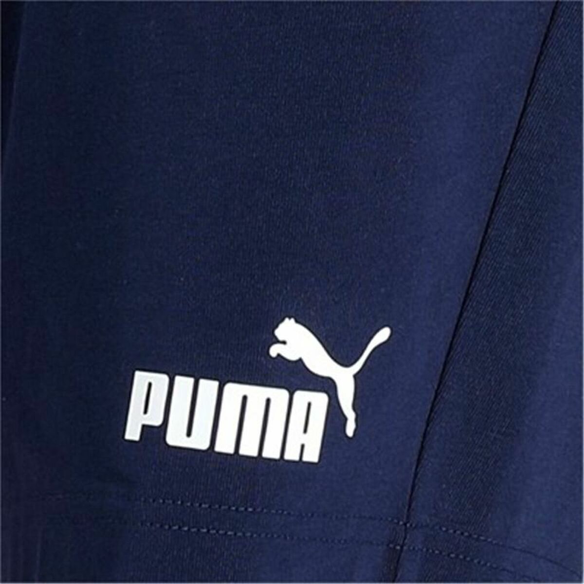 Men's Sports Shorts Puma Essentials